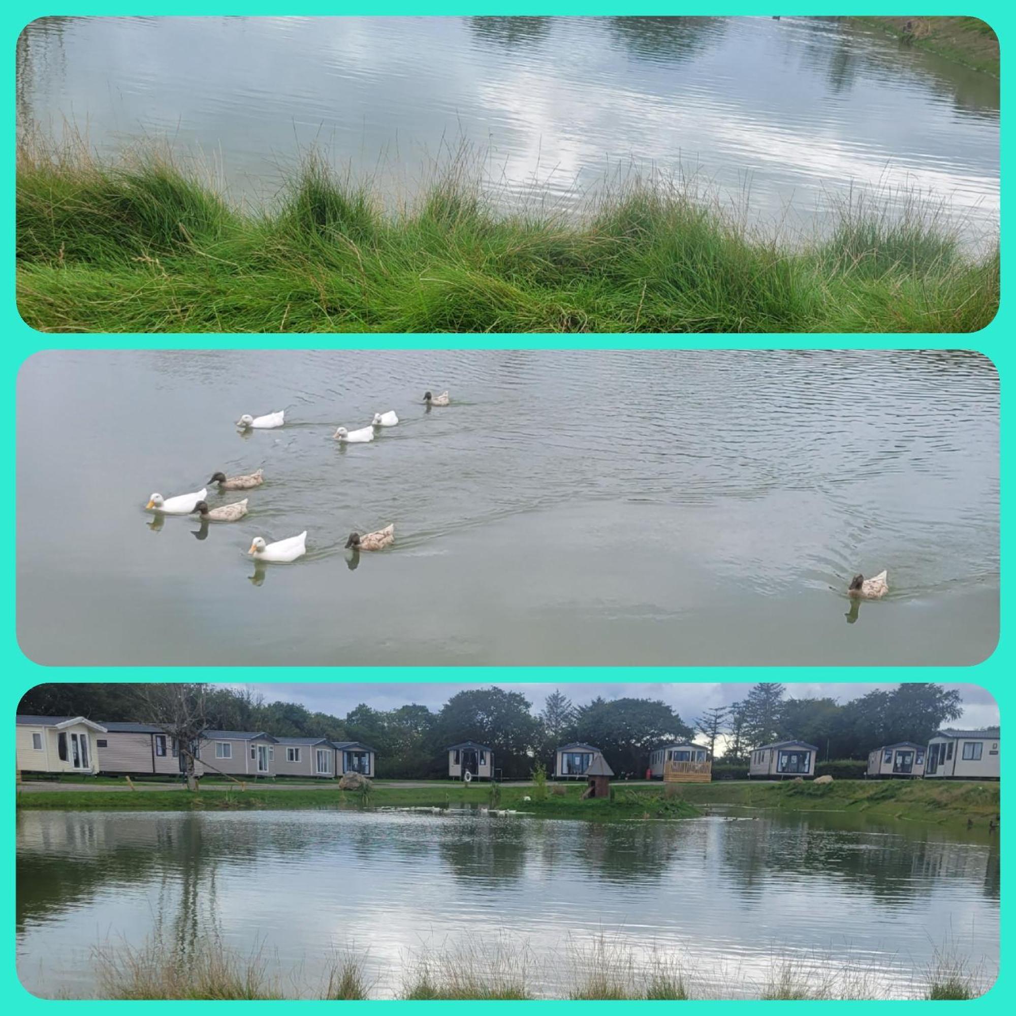 Beautiful 2 Bedroom Caravan, Holiday Park Tenby Saint Florence Εξωτερικό φωτογραφία